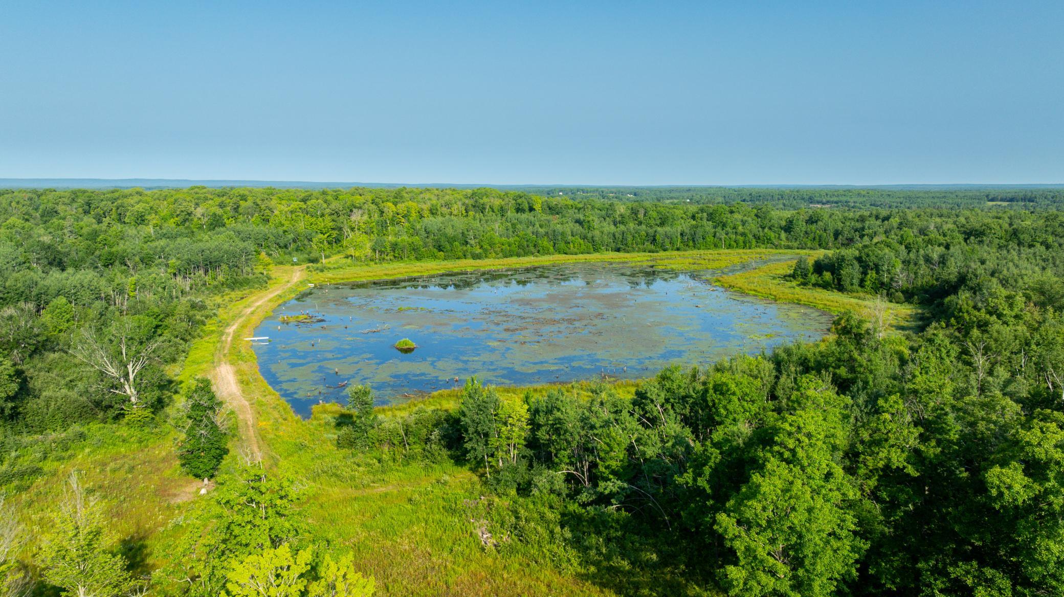 DJI_20260723083746_0626_D.jpg