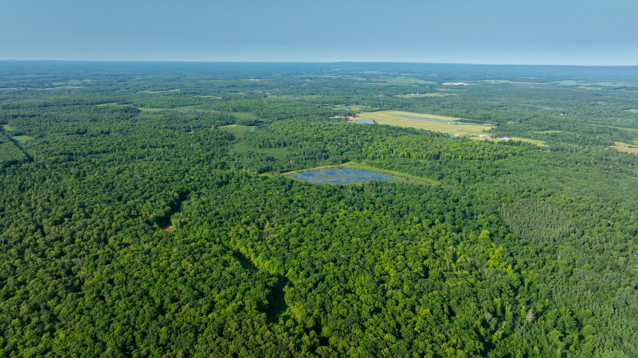 DJI_20260723084044_0632_D.jpg