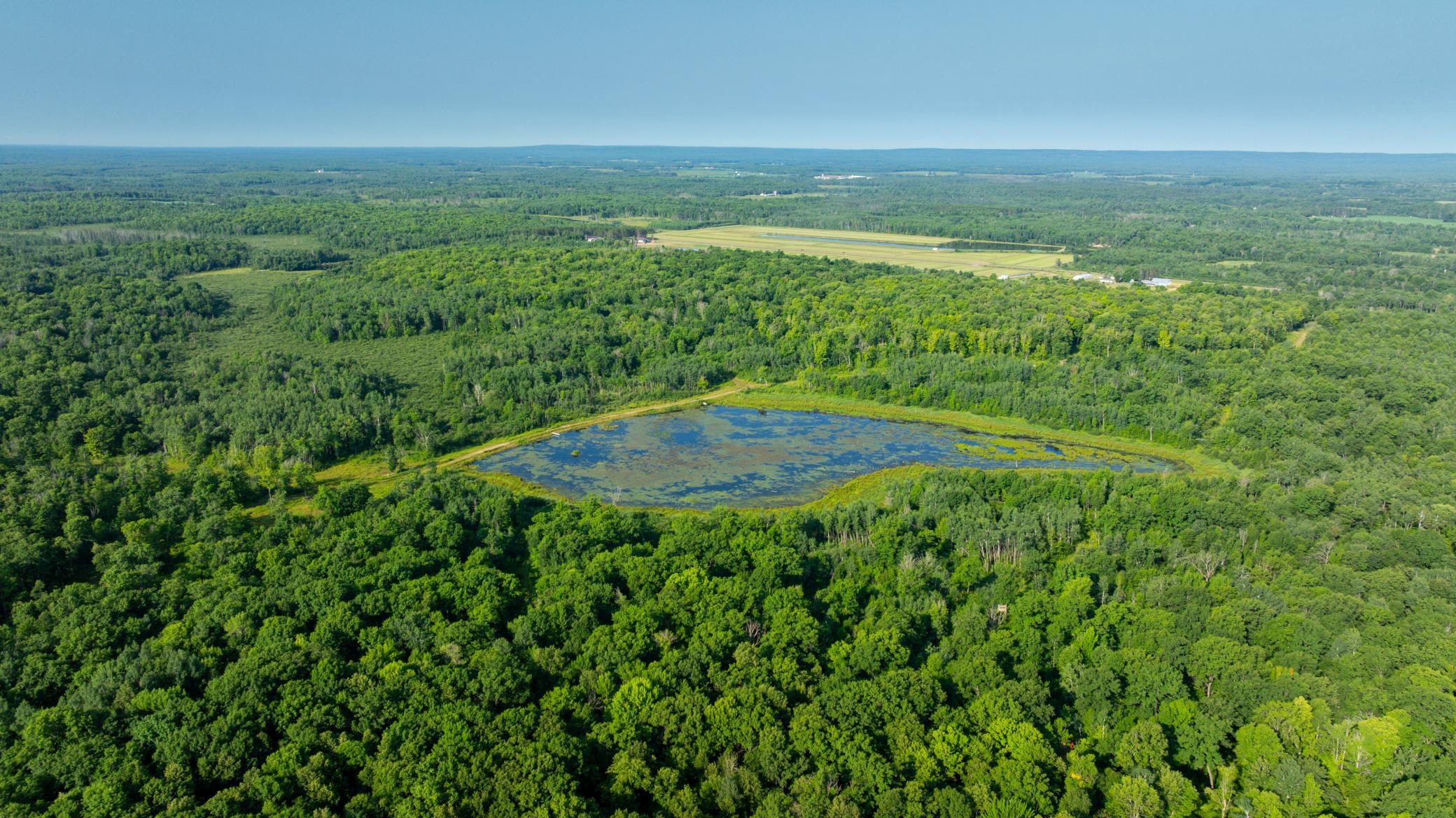 DJI_20260723083906_0630_D.jpg