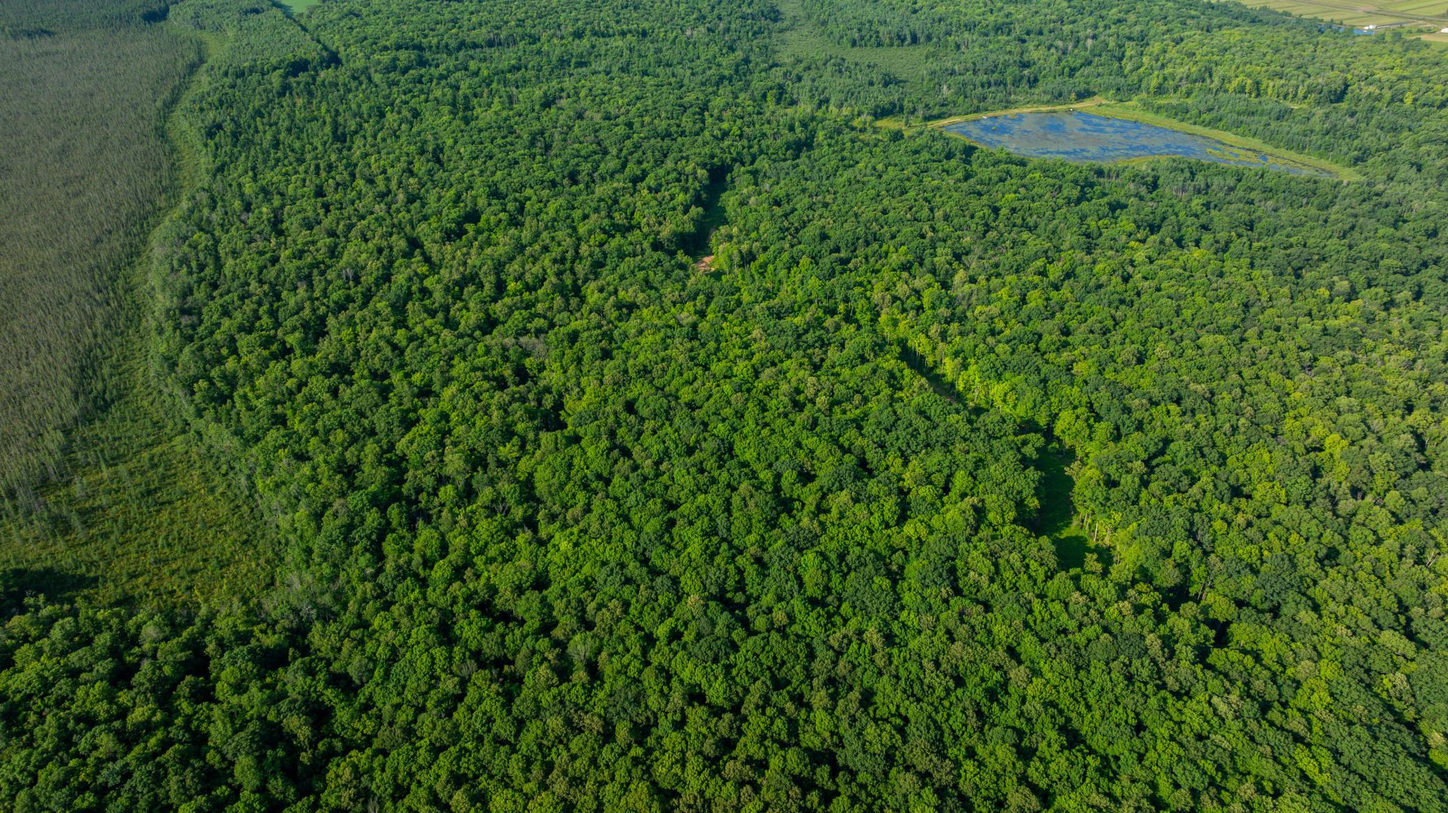 DJI_20260723084123_0634_D.jpg