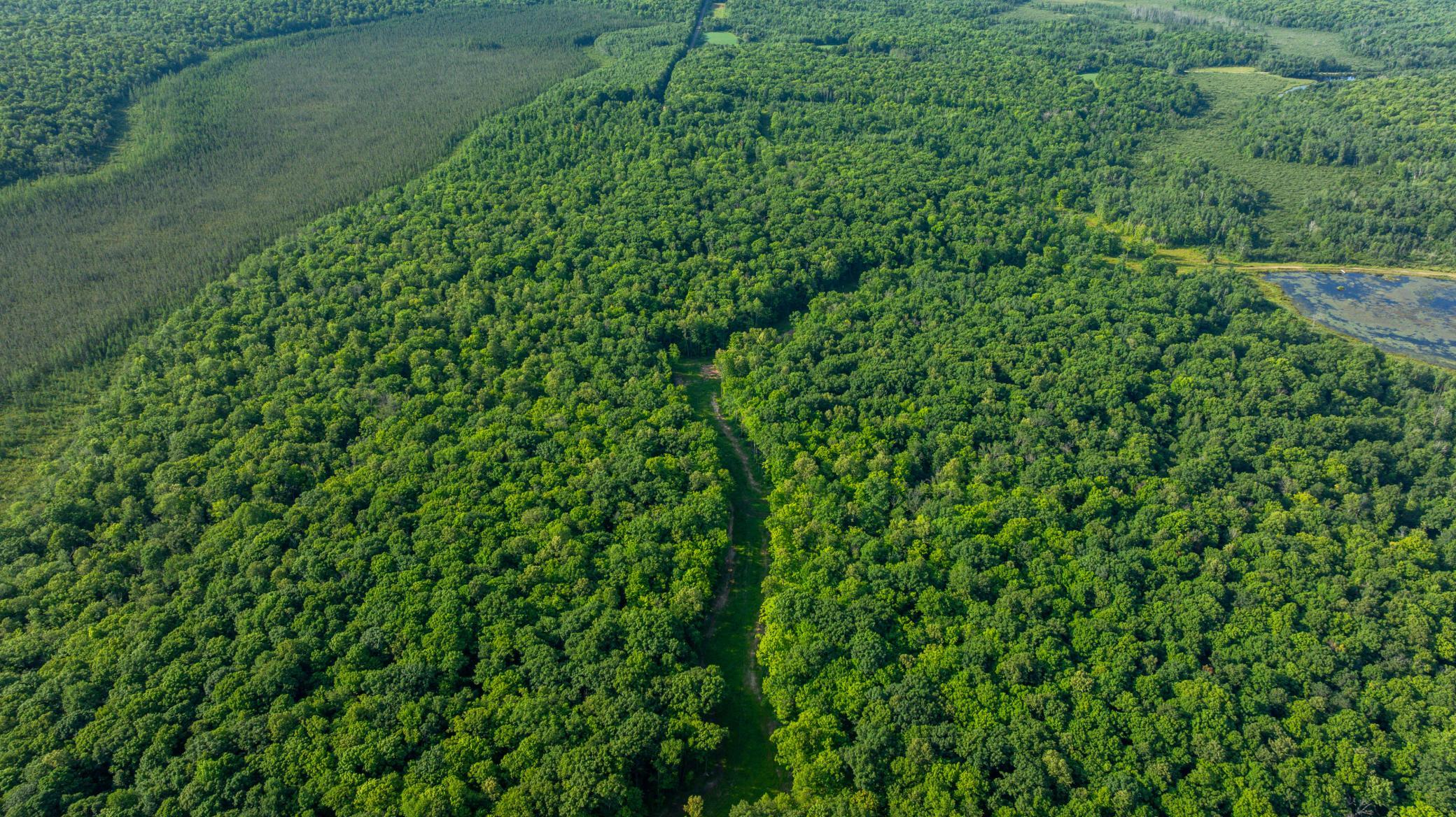 DJI_20260723084000_0631_D.jpg