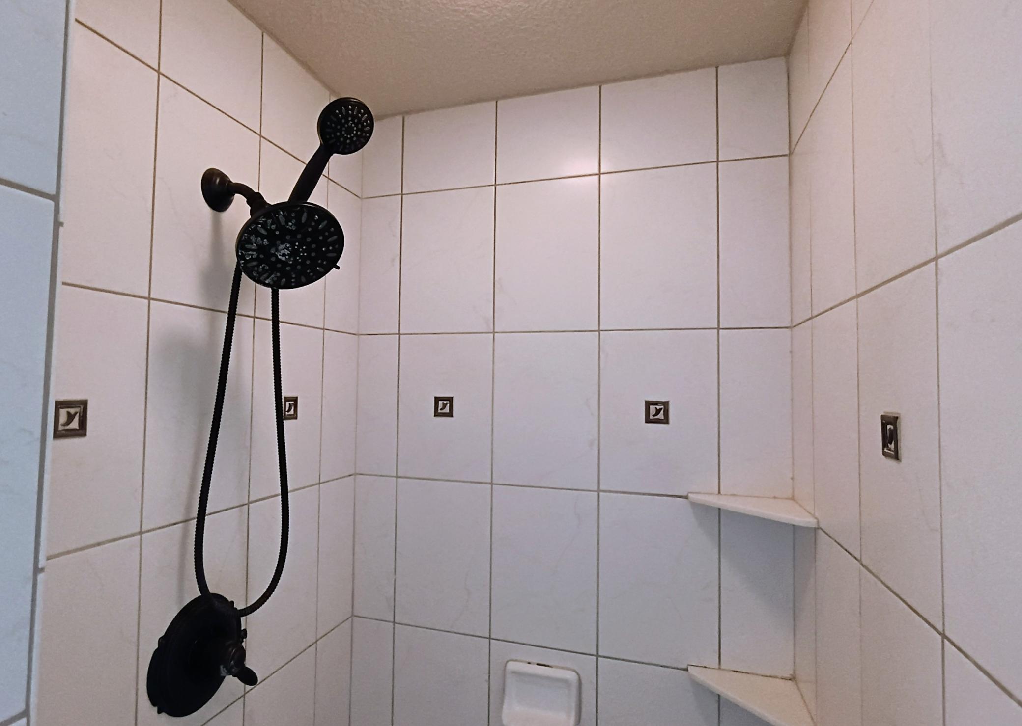 Master bath walk in shower