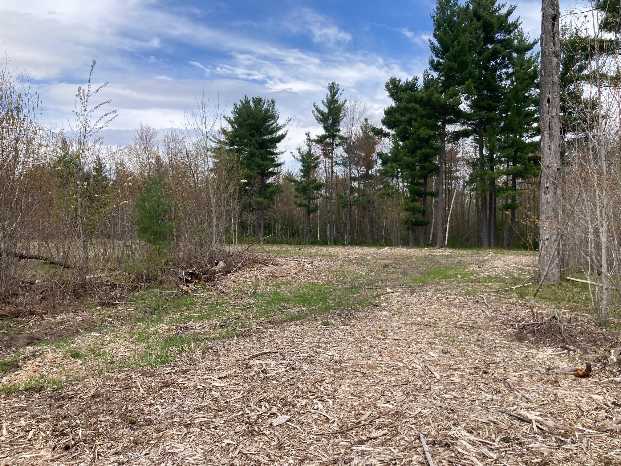 Lot 4