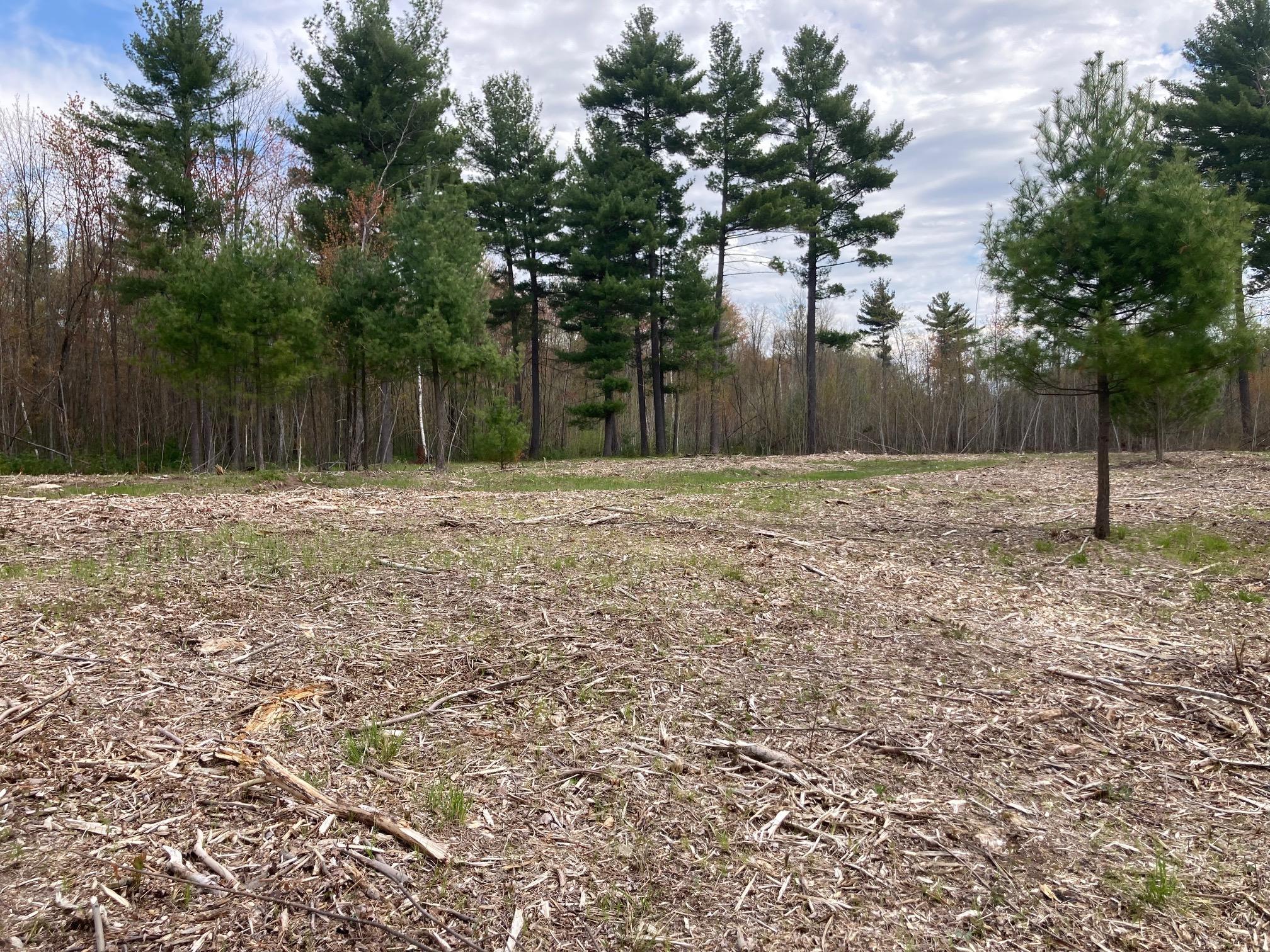 Lot 4