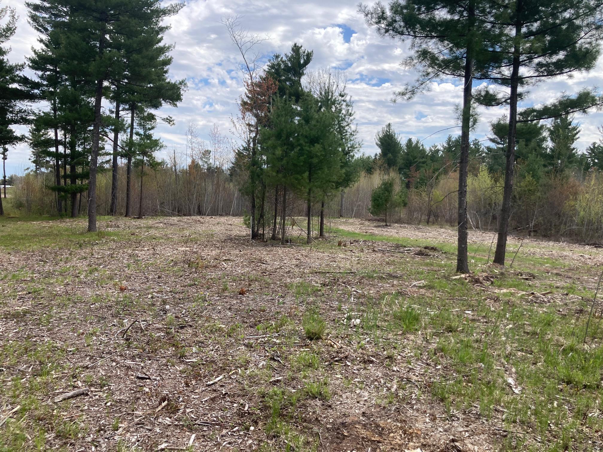 Lot 4