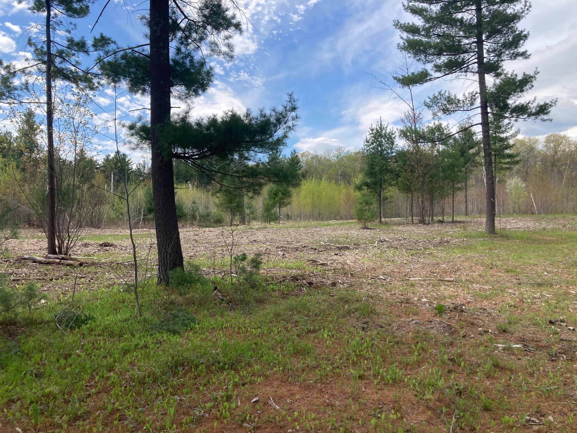 Lot 4