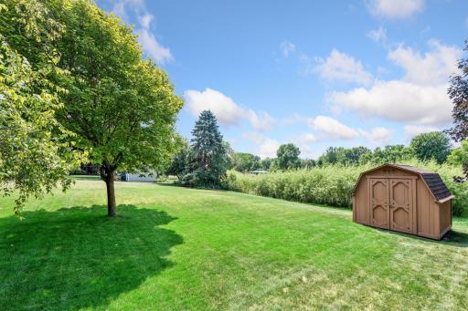 Plenty of extra storage in the backyard shed.