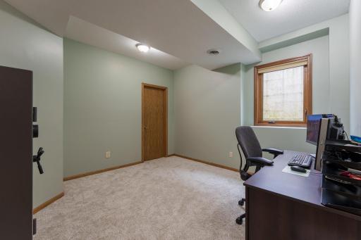 Bedroom 4 on lower level with a massive closet!