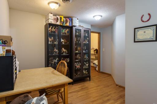 1317 7th Street N, Cannon Falls, MN 55009