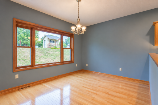1317 7th Street N, Cannon Falls, MN 55009