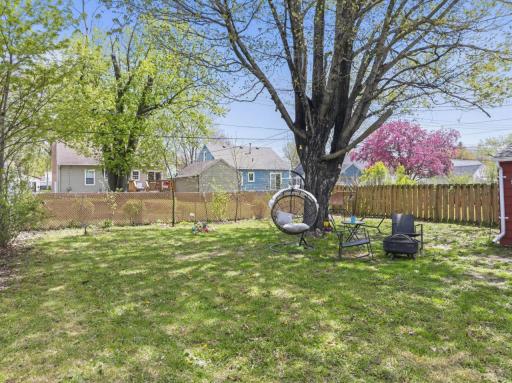 Large Fenced Backyard.jpg