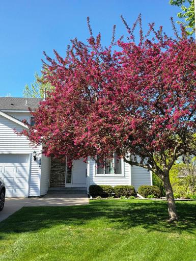 847 Vista Circle, Delano, MN 55328
