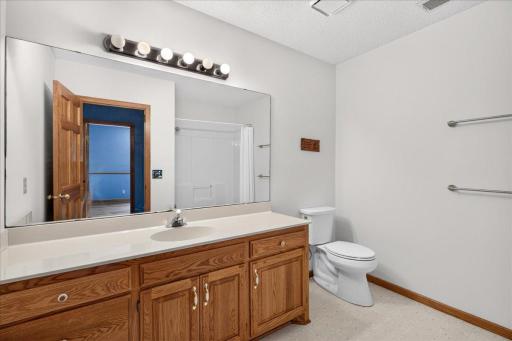 Lower level bathroom with ample counter space.