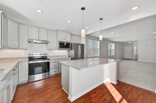 19572 102nd Place, Corcoran, MN 55374