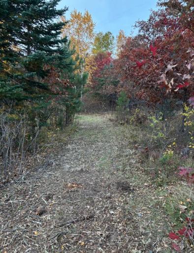 TBD TBD, Bemidji, MN 56601
