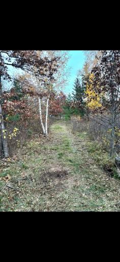 TBD TBD, Bemidji, MN 56601