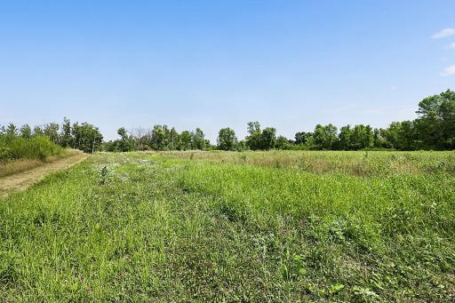 A portion of the property has been thoughtfully planted with food plots, creating an ideal environment to attract and support local wildlife.