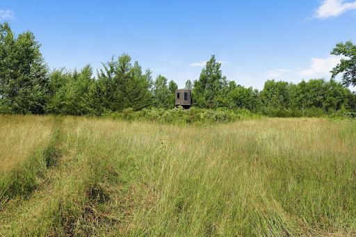 For the outdoor enthusiast, the property offers plenty of ideal locations for deer stands, making it a great place to enjoy hunting right on your own land.