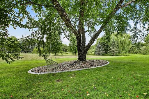 A beautiful mature tree adds charm, character, and a welcoming touch to the front yard, enhancing the homeâs curb appeal and overall ambiance.