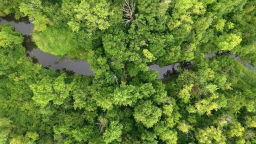 A view of the stream that winds through the back of the property, adding a peaceful and picturesque touch to the natural setting.