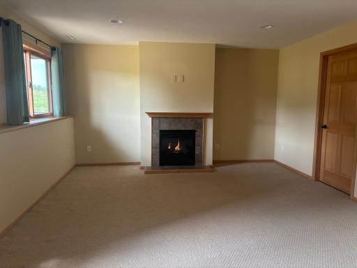 1407 Woodland Way, Lake City, MN 55041