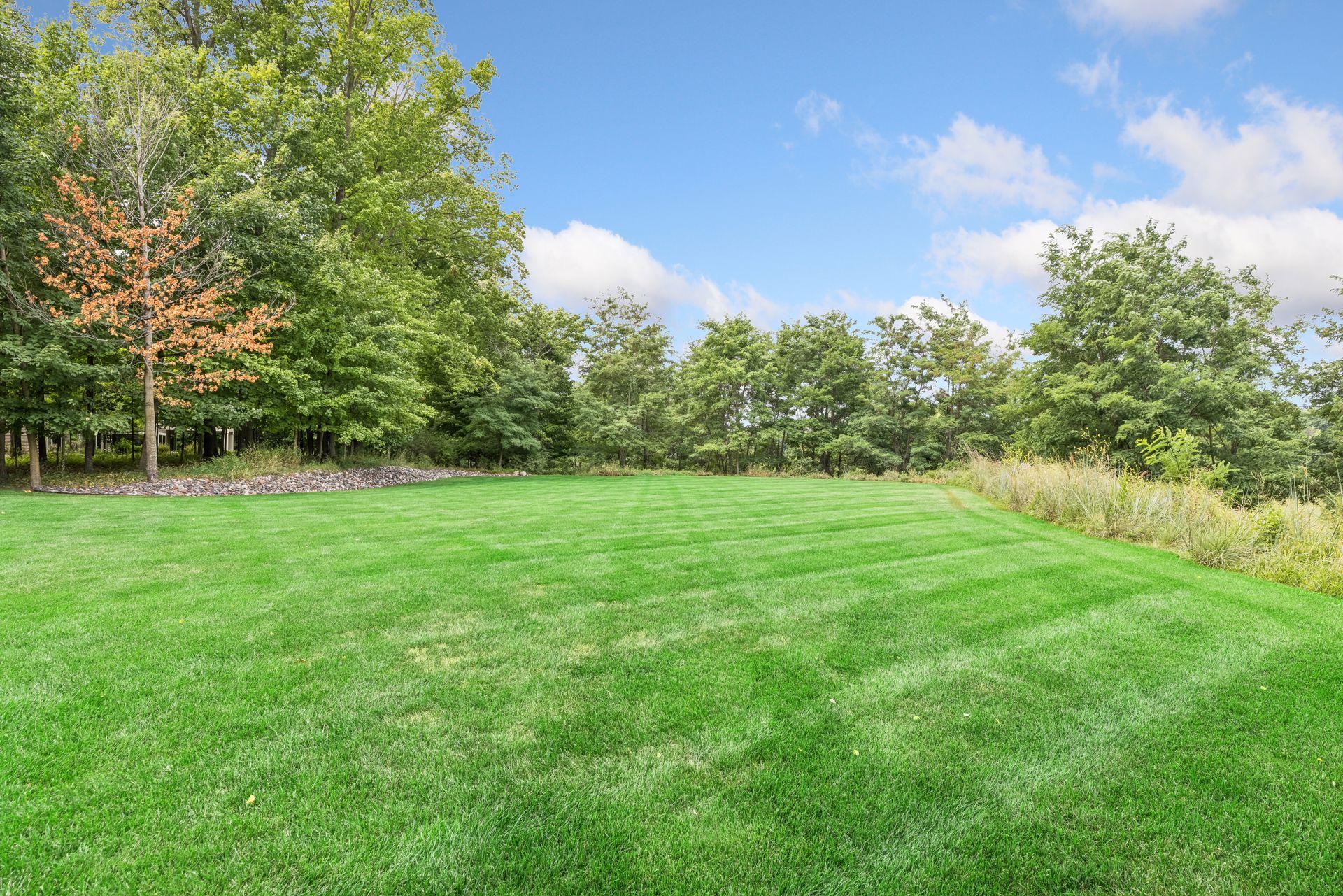A beautifully private backyard framed by mature trees and natural wetlands, with the property line stretching well into the wetland area—ensuring uninterrupted views and no neighboring homes behind.