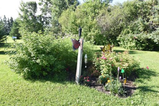 DSC_0092.JPG
