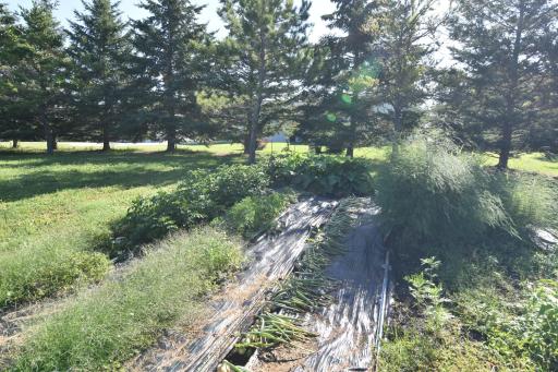 DSC_0094.JPG