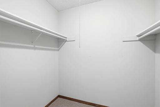 Large primary walk-in closet