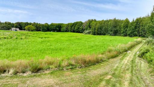 N1395 Grouse Road, Sarona, WI 54870