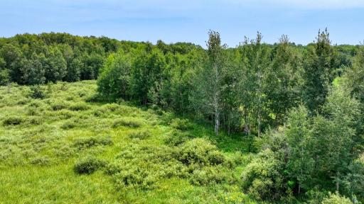 N1395 Grouse Road, Sarona, WI 54870
