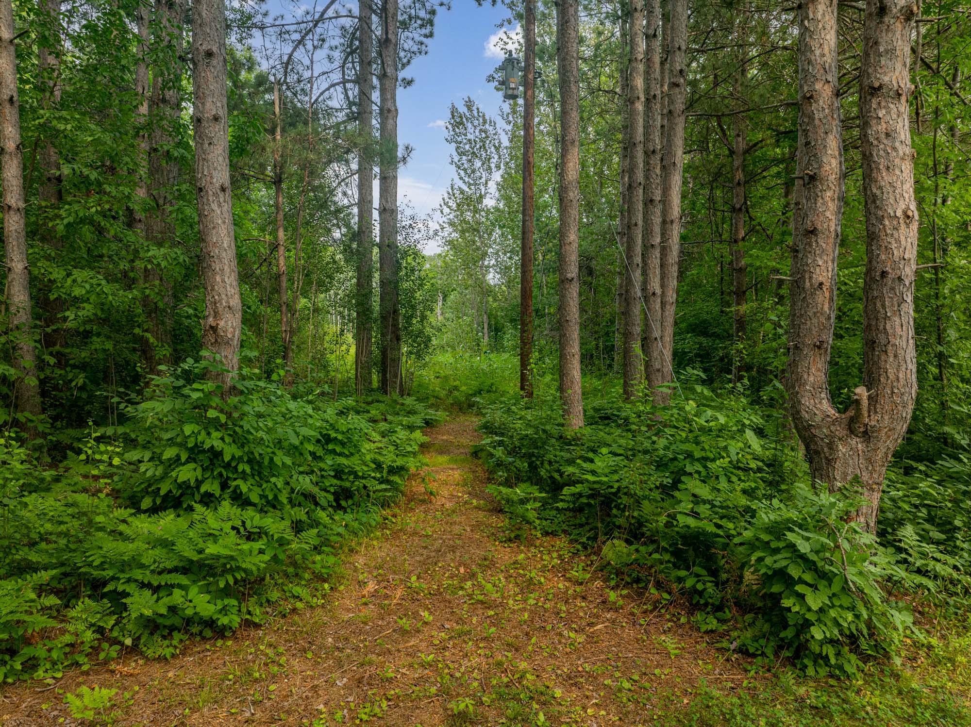 Path to the Lake