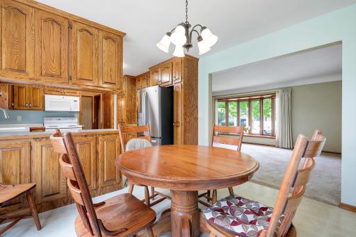 8710Photography-Web-Friendly-816-Maple-Street-Farmington-MN-55024-21.jpg