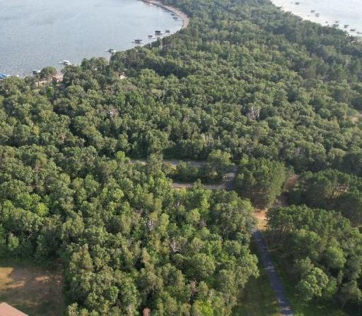 Middle of property facing south horshoe on left pelican on right.jpg
