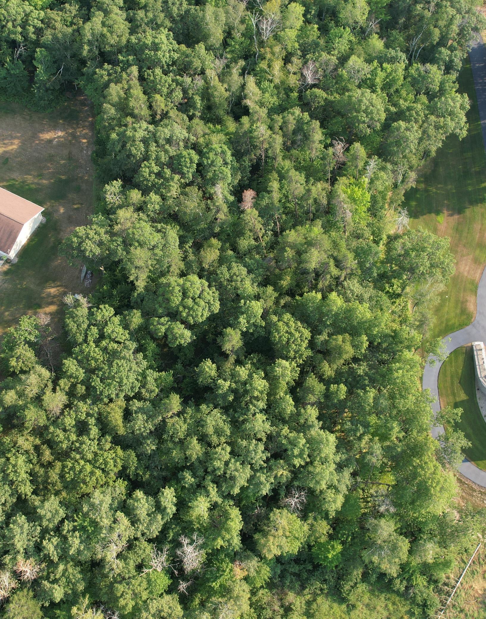 north side of property looking south.jpg
