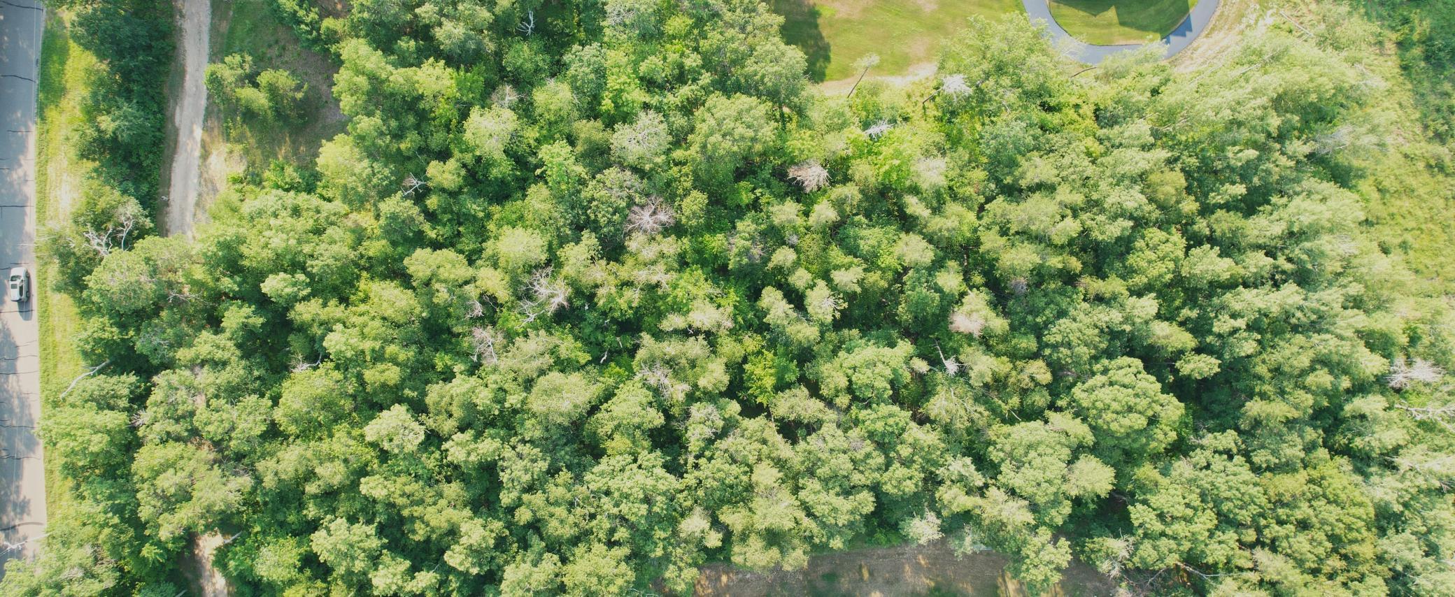 Top Down North on right.JPG