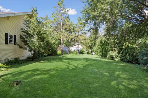Nice yard!