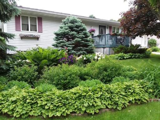 708 N Sprague Street, Caledonia, MN 55921