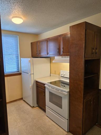 10156.jpg All appliance kitchen