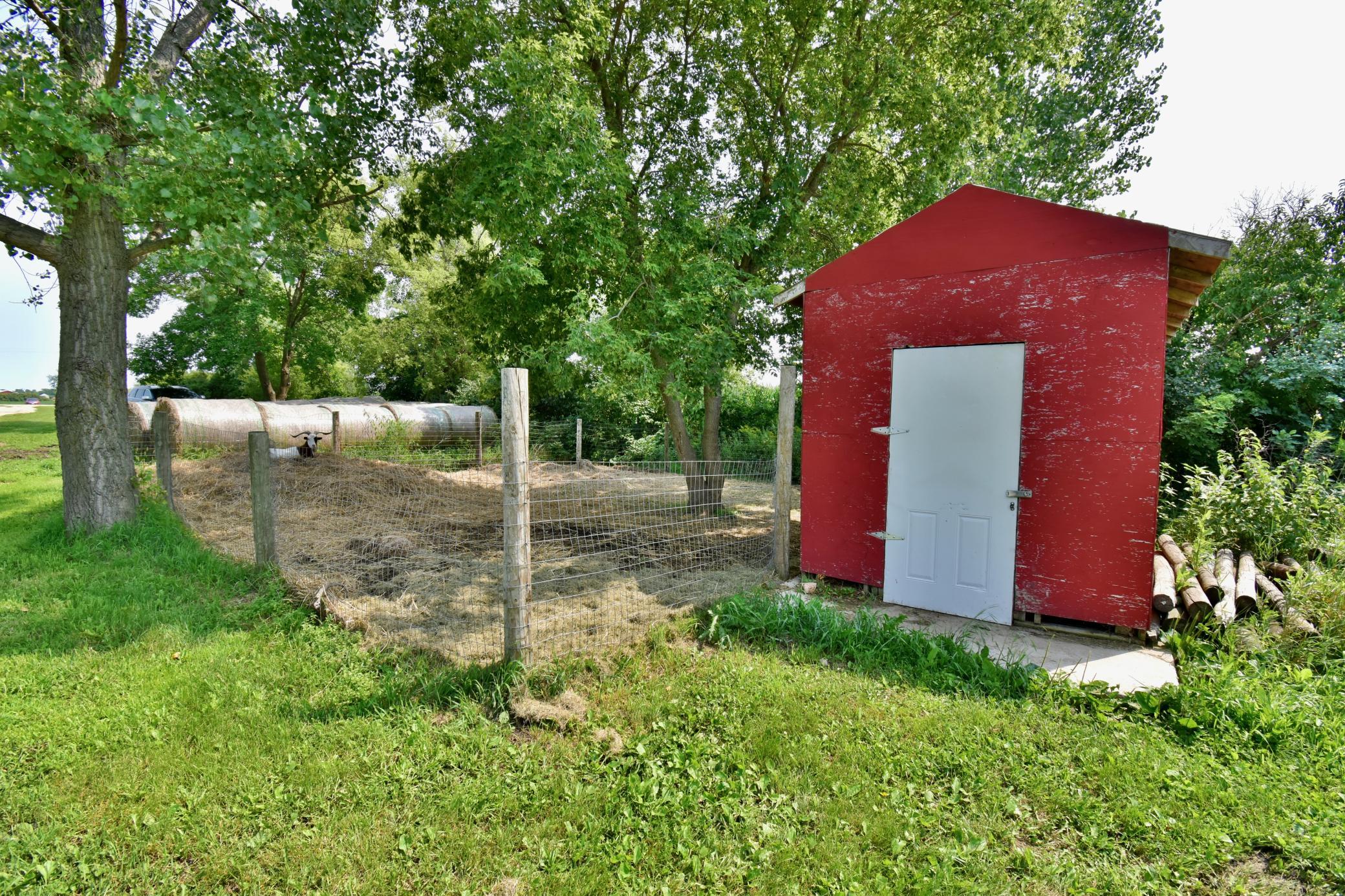 Goats anyone? Or perhaps chickens - you get to decide!