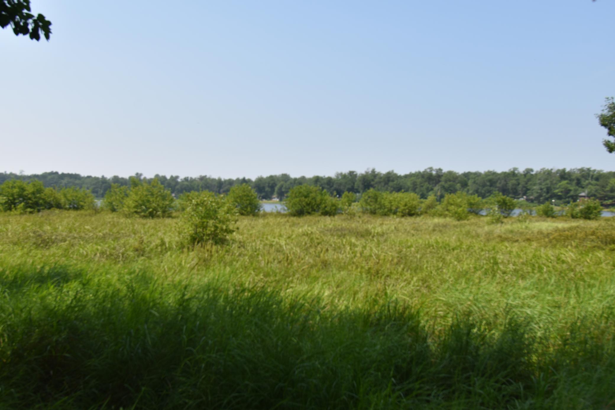DSC_0891.JPG