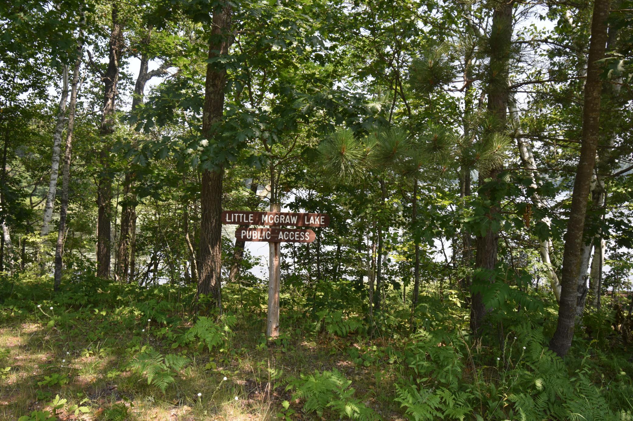 DSC_0883.JPG
