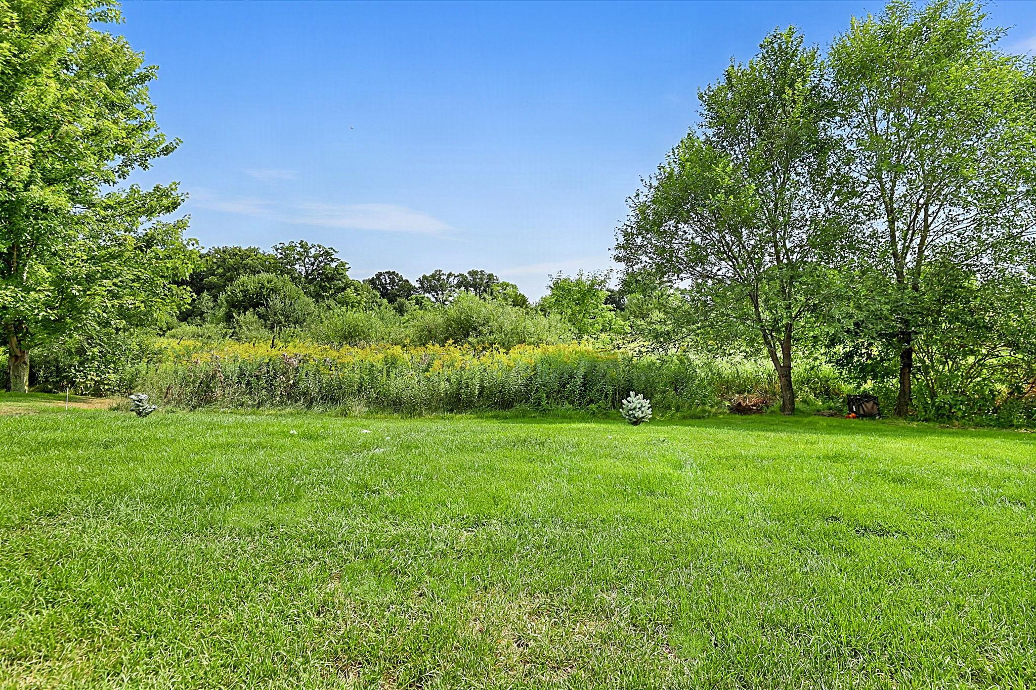Private back yard