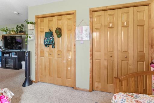 double closets in lower level bedroom