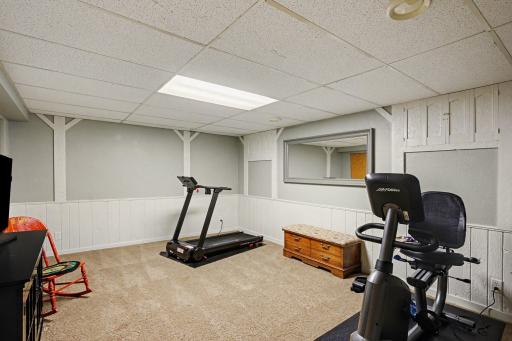 Lower level family room, or, exercise room? Or?
