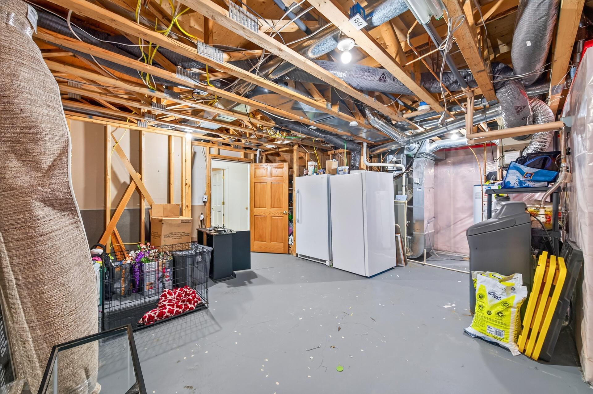 Basement Storage and Utility Room