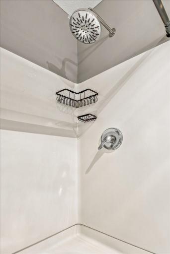 Lower Level Shower