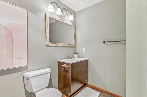 Lower Level Bathroom