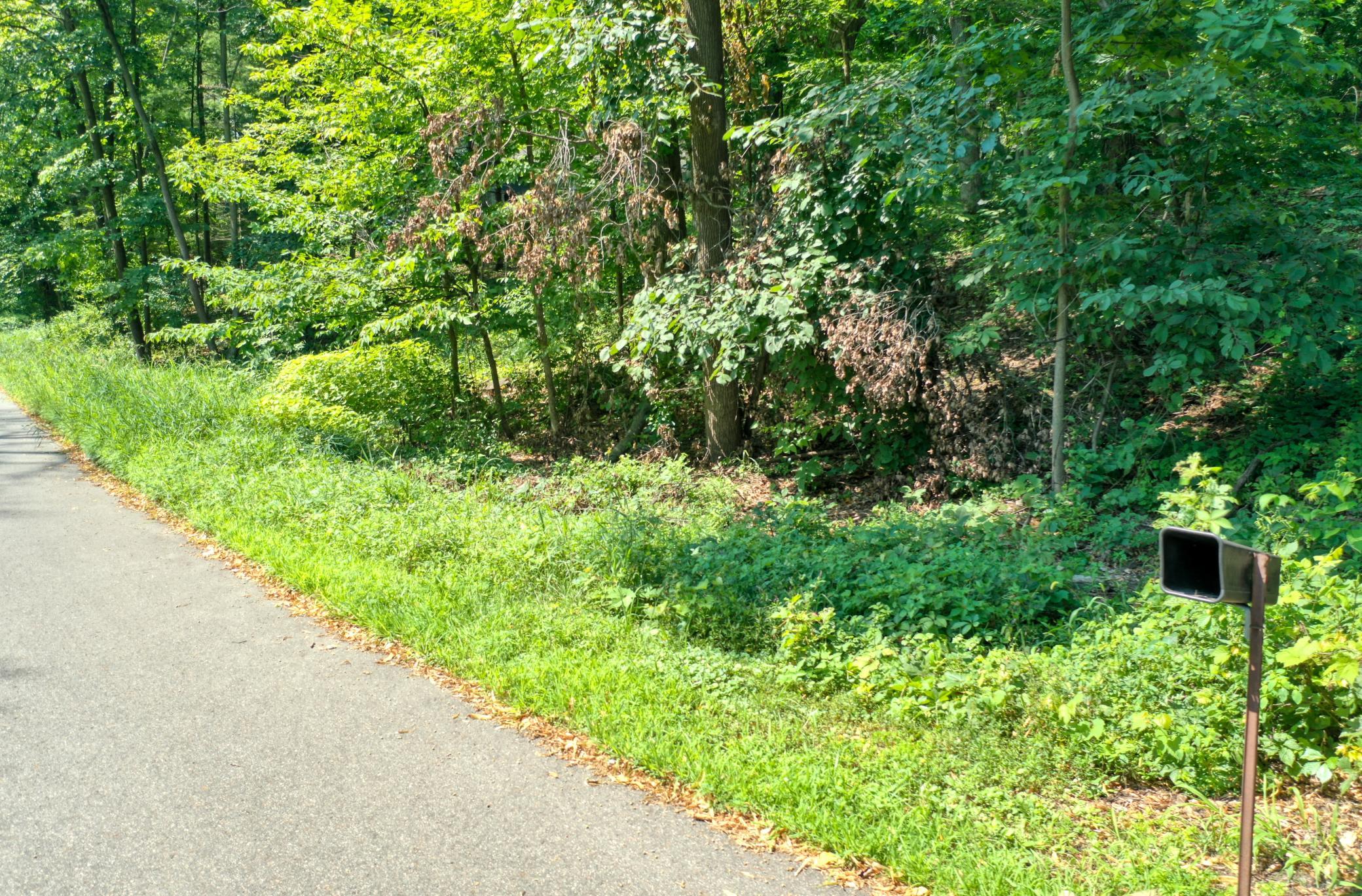 DJI_0798.jpg
