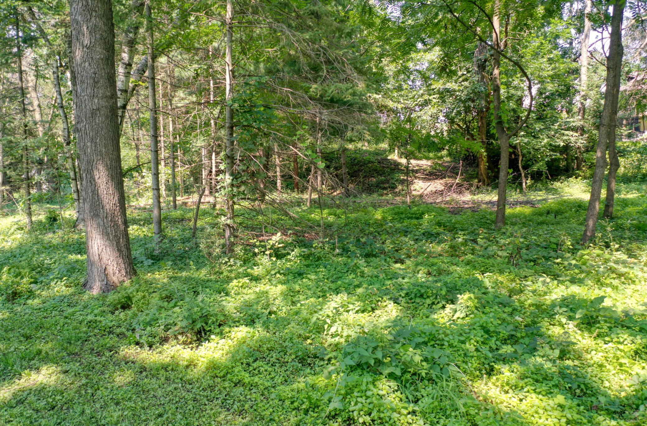 DJI_0803.jpg